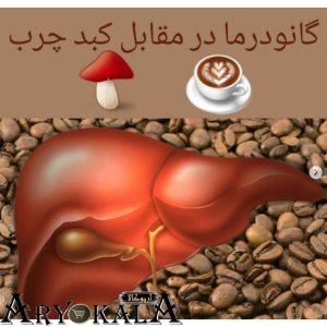 Ganoderma and fatty liver4