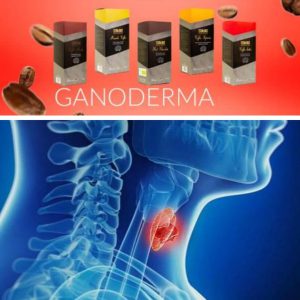 درمان تیروئید با قهوه گانودرما